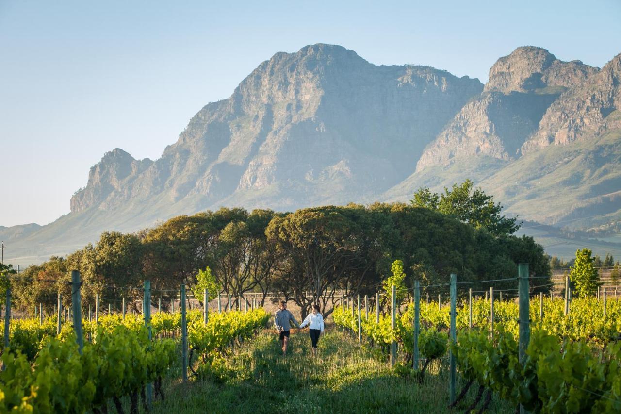 La Bella Vita Studios Paarl Dış mekan fotoğraf