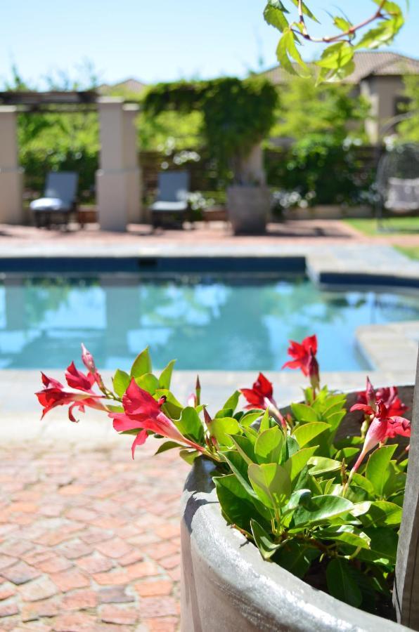 La Bella Vita Studios Paarl Dış mekan fotoğraf